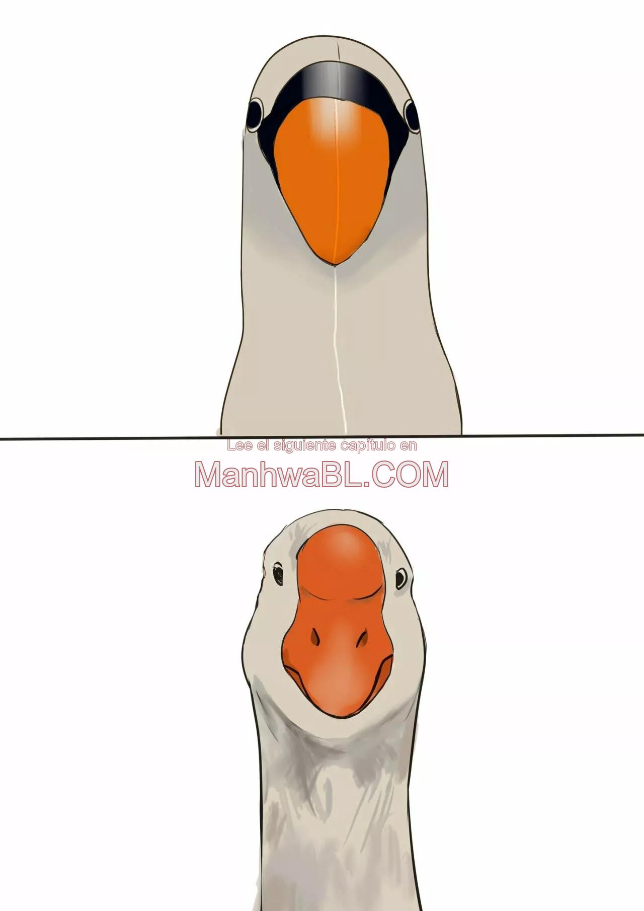 El señor He - Capítulo 17 3 manhwa