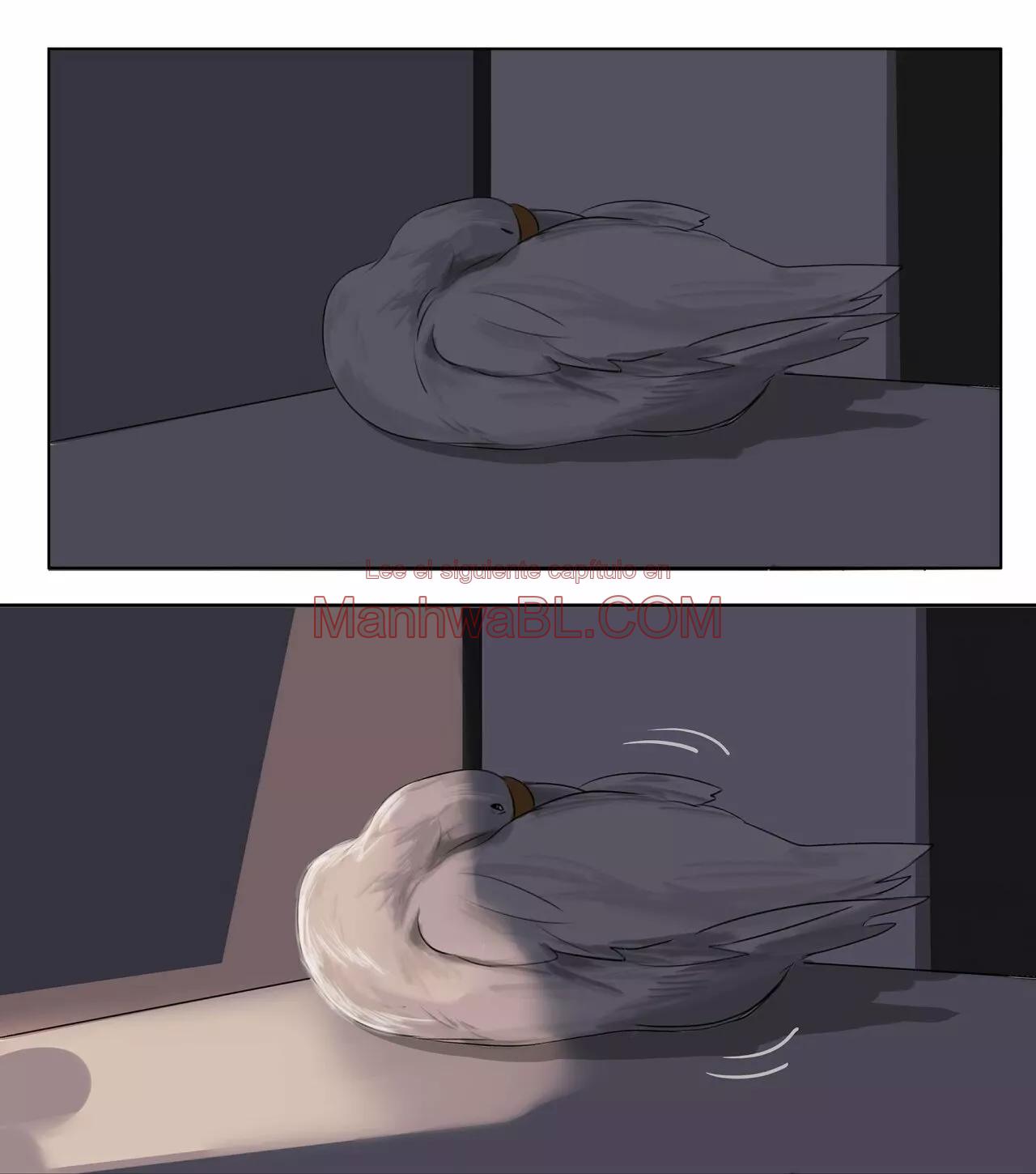 El señor He - Capítulo 23 manhwa