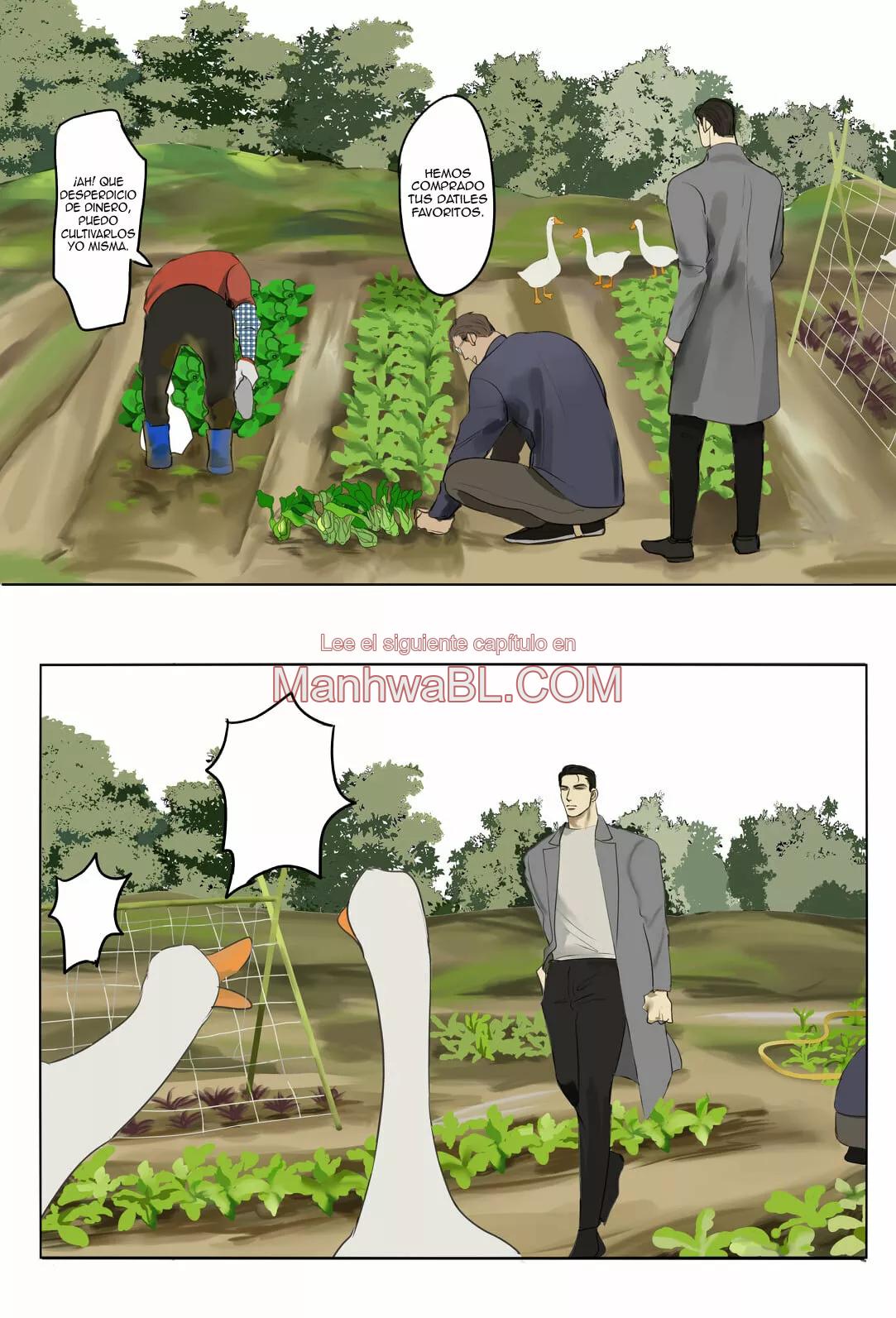 El señor He - Capítulo 13 manhwa