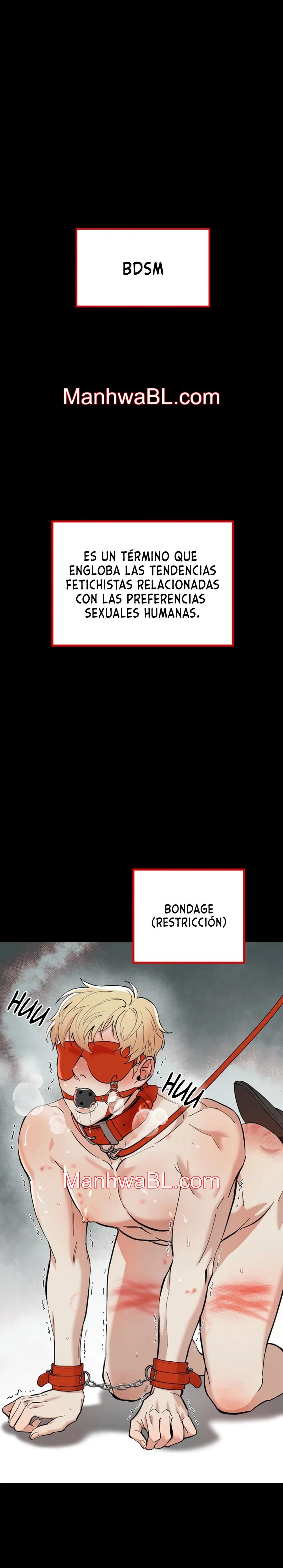 Guías básicas de BDSM - Capítulo 1.3 manhwa