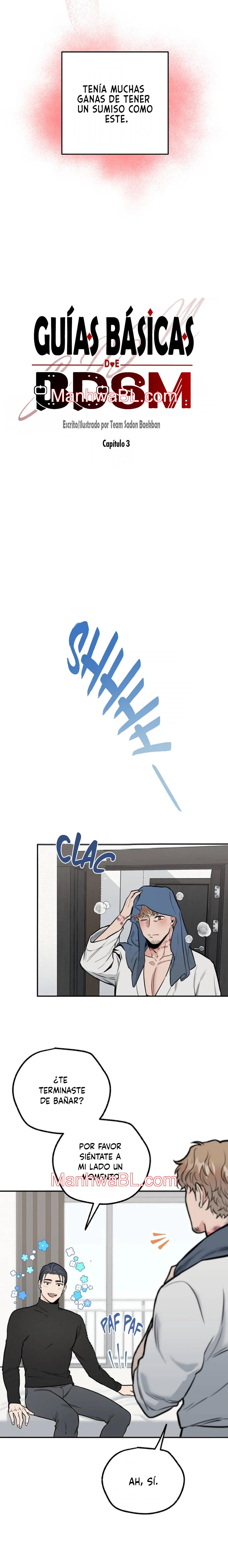 Guías básicas de BDSM - Capítulo 3.3 manhwa
