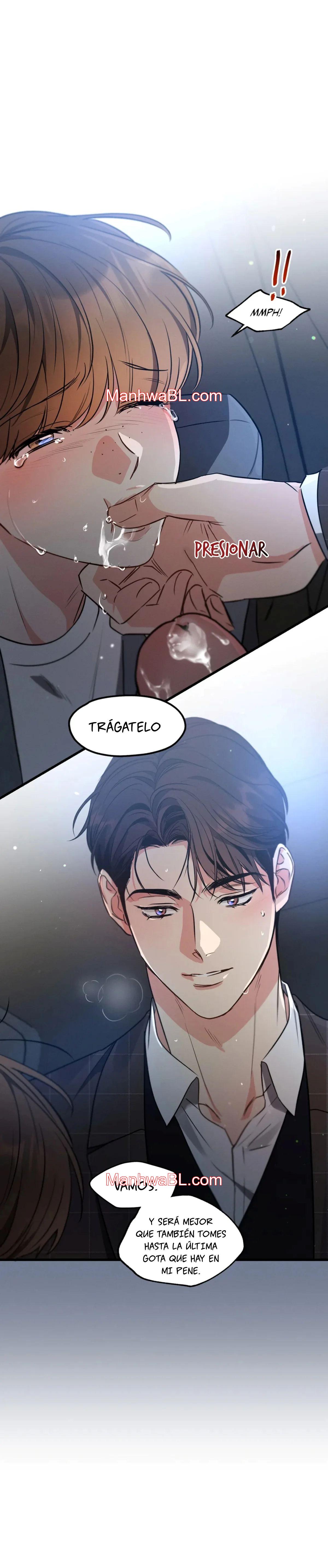 Love History Caused by Willful Negligence - Capítulo 64 manhwa