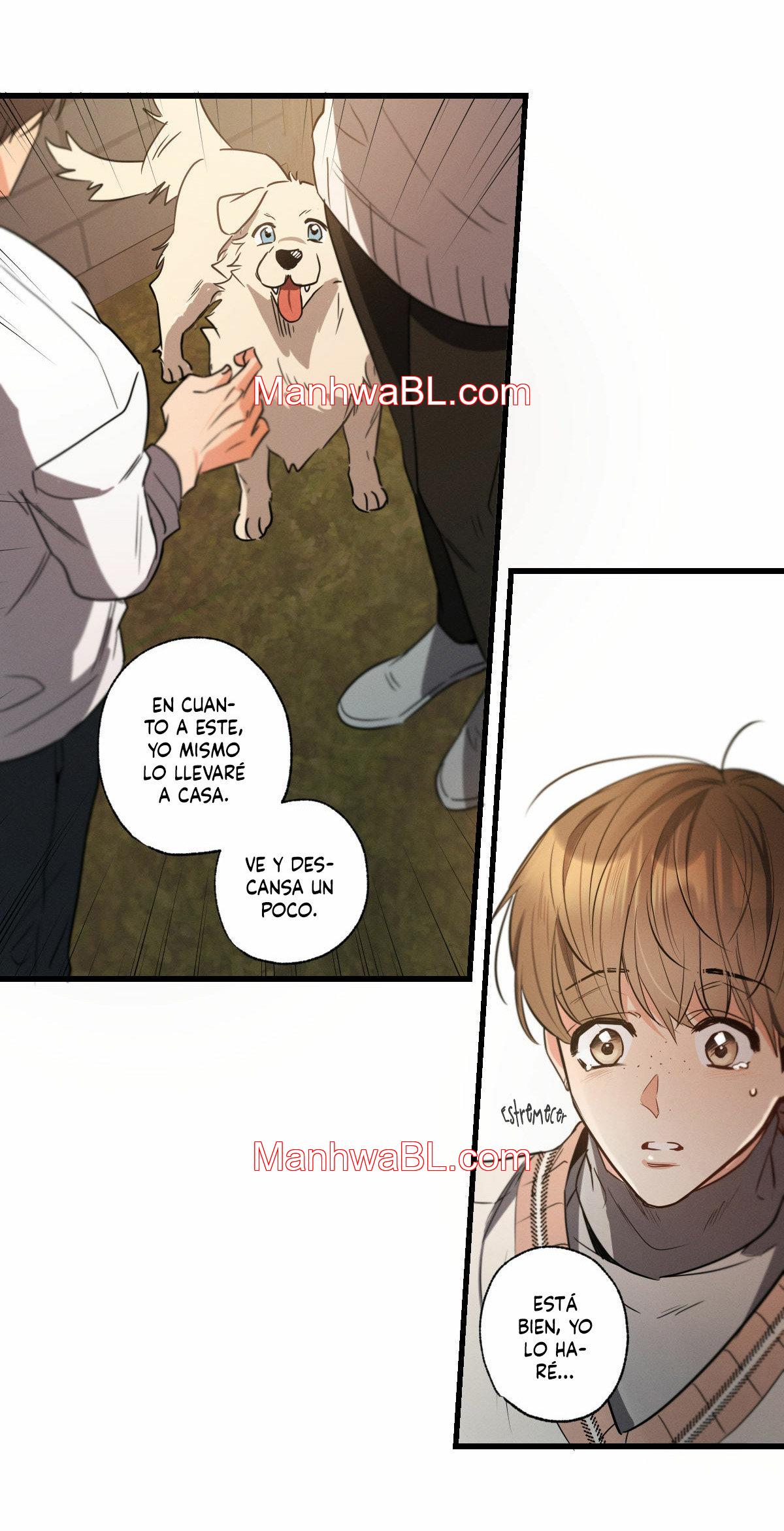 Love History Caused by Willful Negligence - Capítulo 14 manhwa