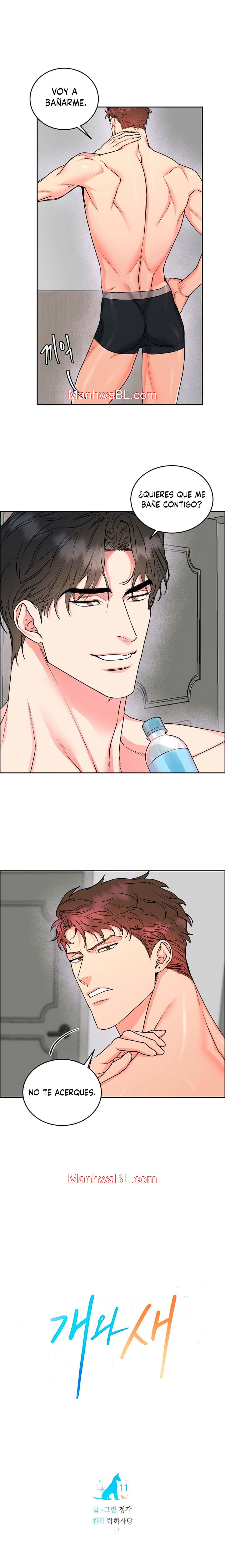 Perros y Pájaros - Capítulo 11 manhwa