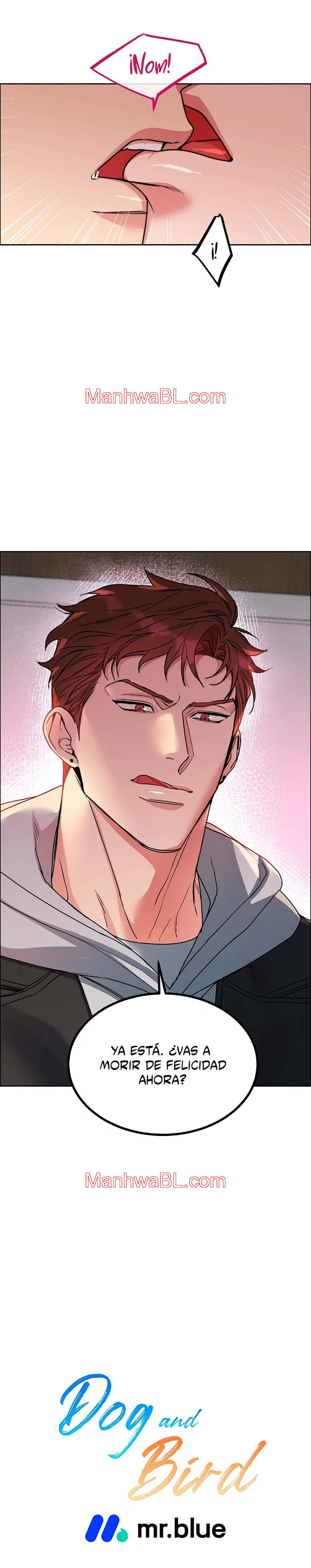 Perros y Pájaros - Capítulo 24 manhwa