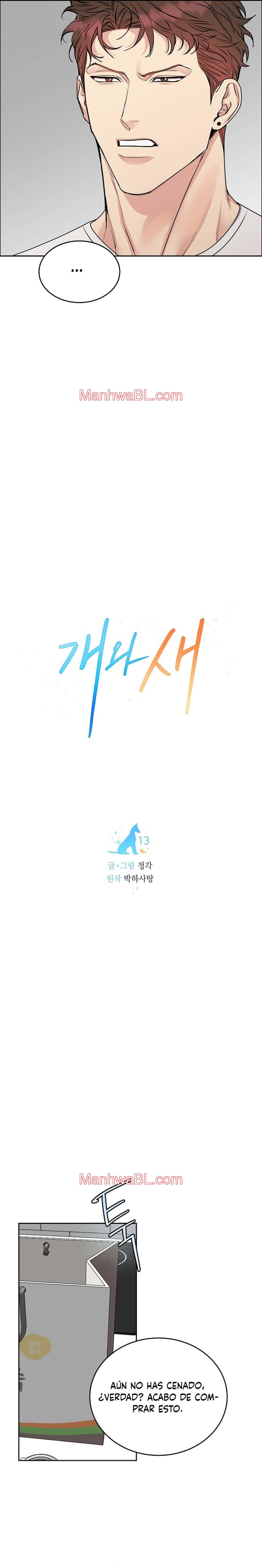 Perros y Pájaros - Capítulo 13 manhwa