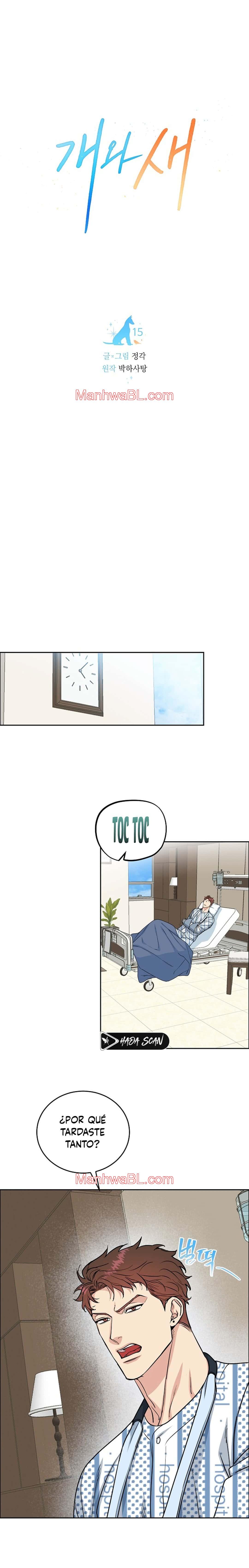 Perros y Pájaros - Capítulo 15 manhwa