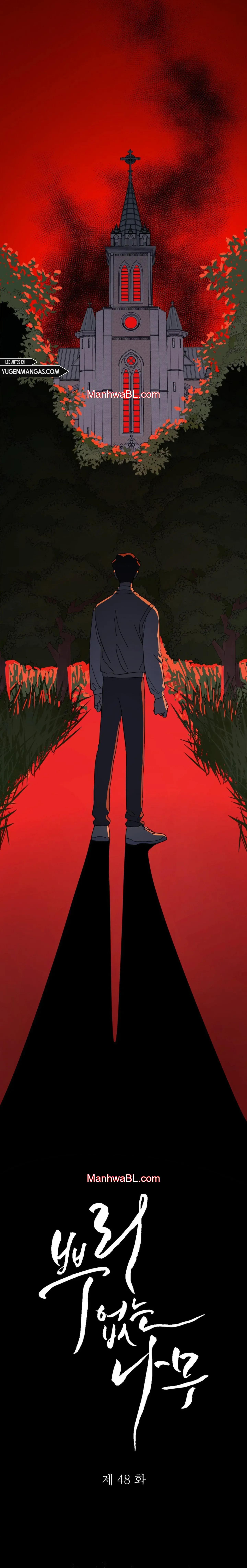 Arbol sin raices - Capítulo 48 manhwa