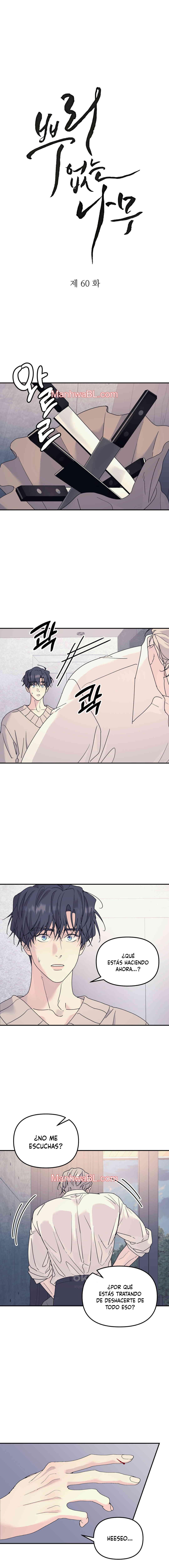 Arbol sin raices - Capítulo 60 manhwa