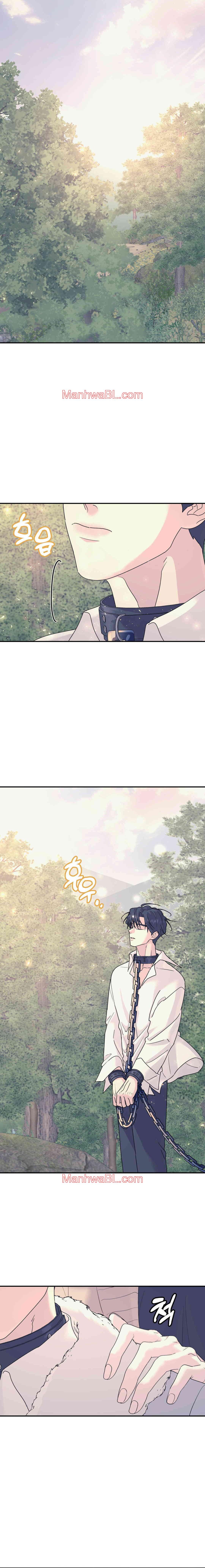 Arbol sin raices - Capítulo 58 manhwa