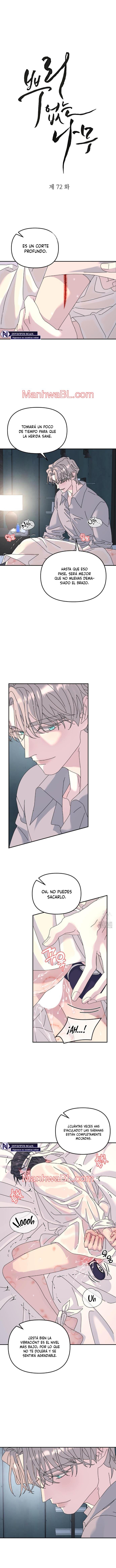 Arbol sin raices - Capítulo 72 manhwa