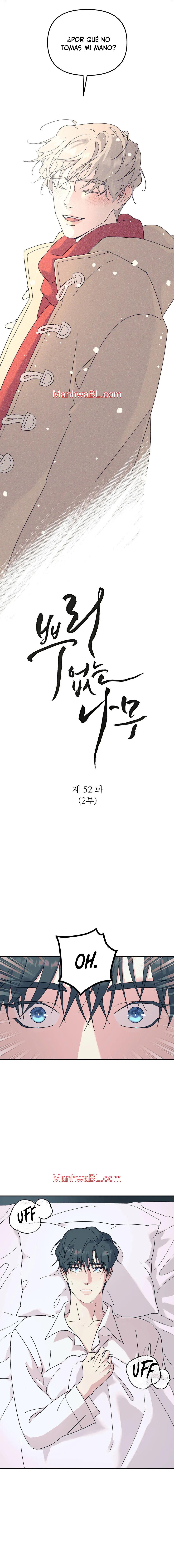 Arbol sin raices - Capítulo 52 manhwa