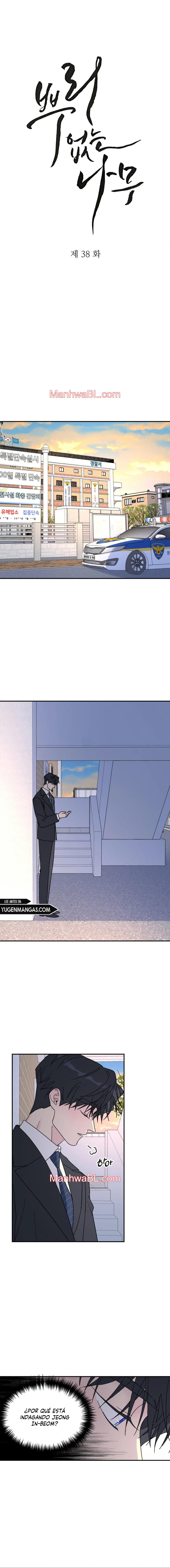 Arbol sin raices - Capítulo 38 manhwa