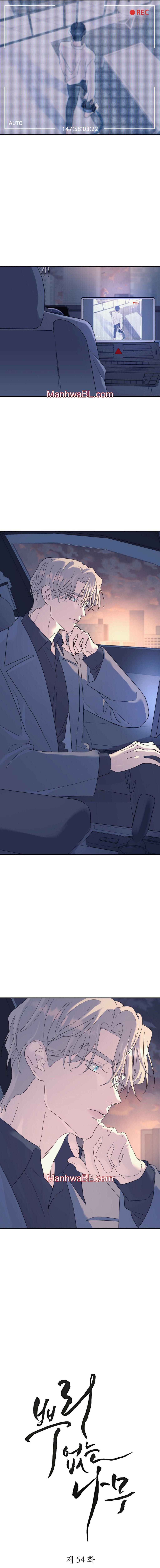 Arbol sin raices - Capítulo 54 manhwa