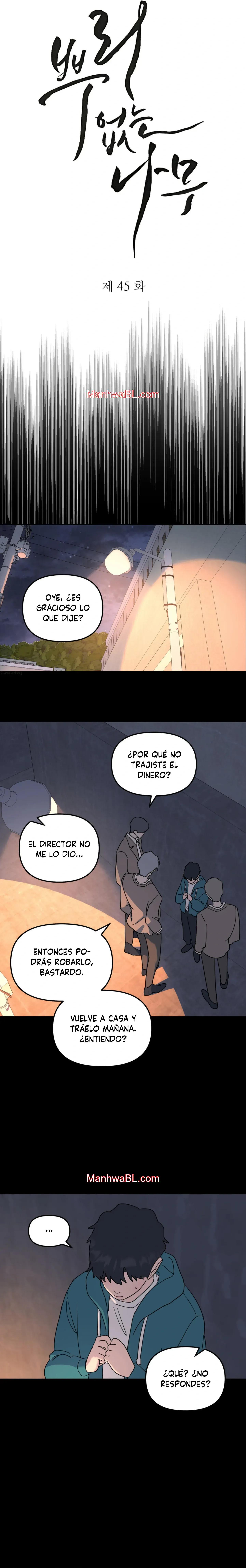 Arbol sin raices - Capítulo 45 manhwa