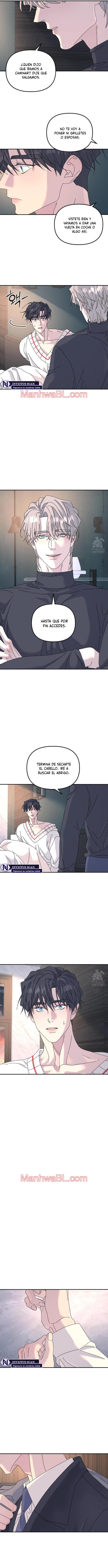 Arbol sin raices - Capítulo 74 manhwa