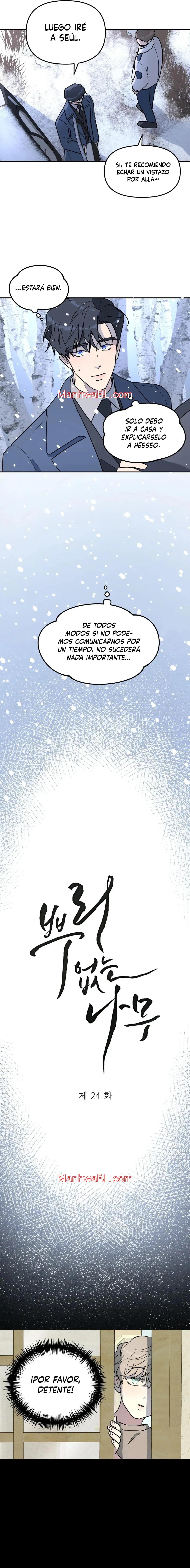 Arbol sin raices - Capítulo 24 manhwa