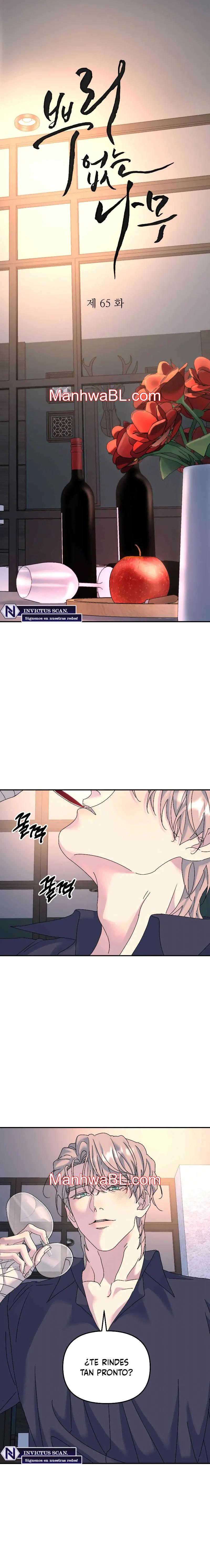 Arbol sin raices - Capítulo 65 manhwa