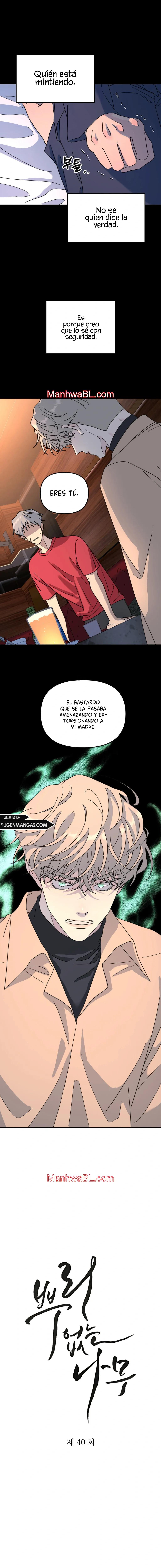Arbol sin raices - Capítulo 40 manhwa