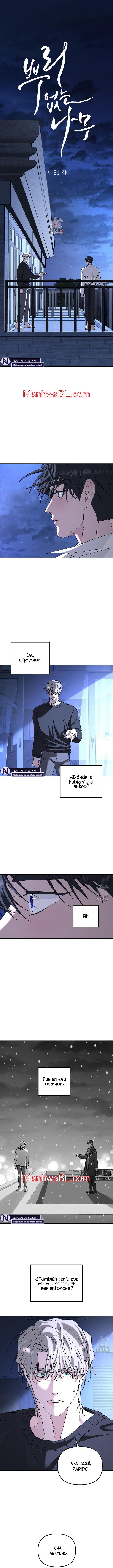 Arbol sin raices - Capítulo 81 manhwa