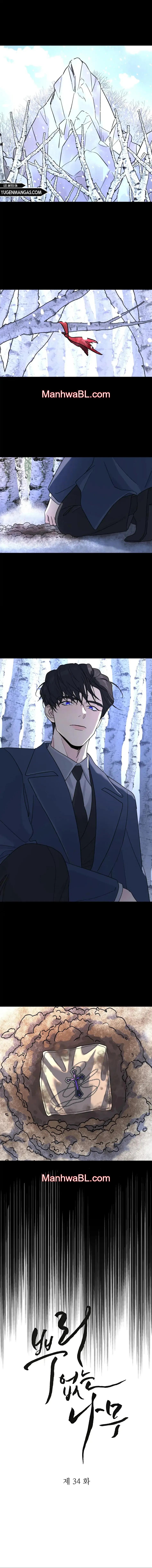 Arbol sin raices - Capítulo 34 manhwa