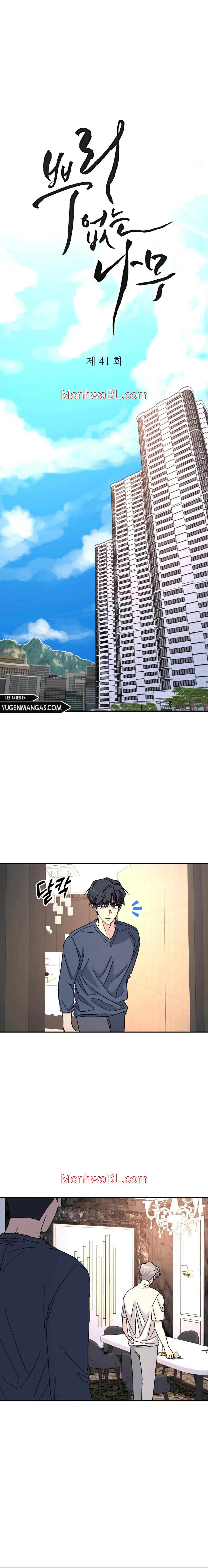 Arbol sin raices - Capítulo 41 manhwa