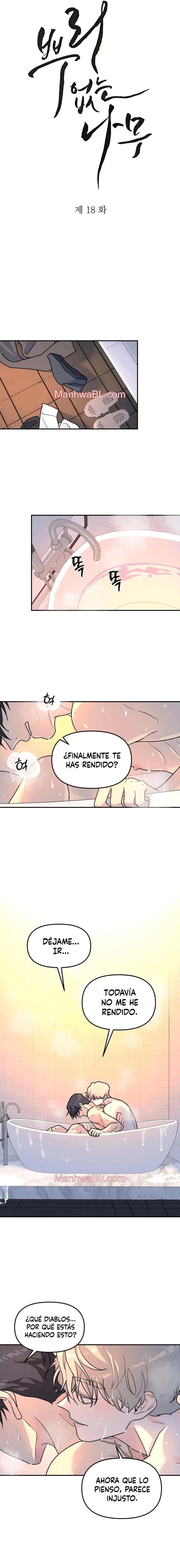 Arbol sin raices - Capítulo 18 manhwa
