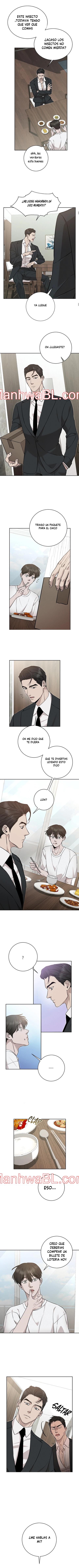 Morfeo - Capítulo 16 manhwa