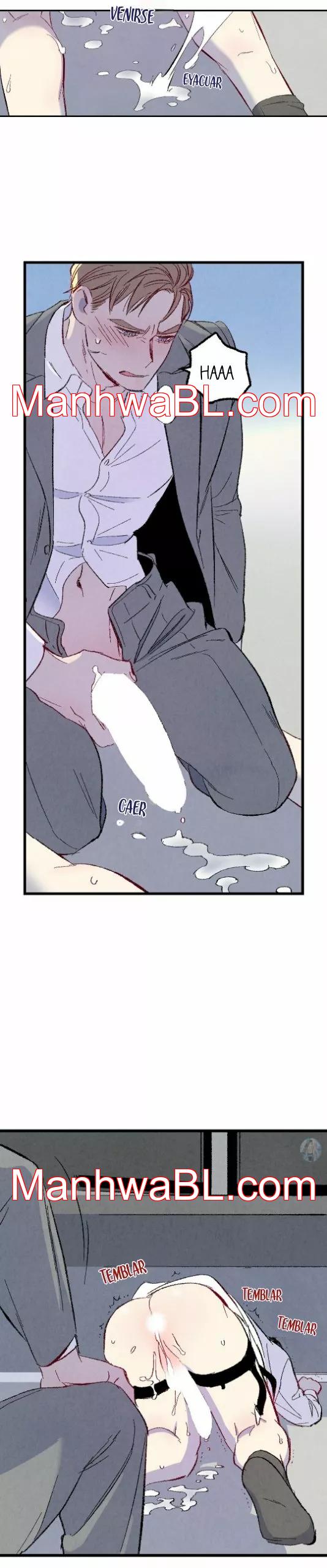 Perfect Buddy - Capítulo 51.00 manhwa