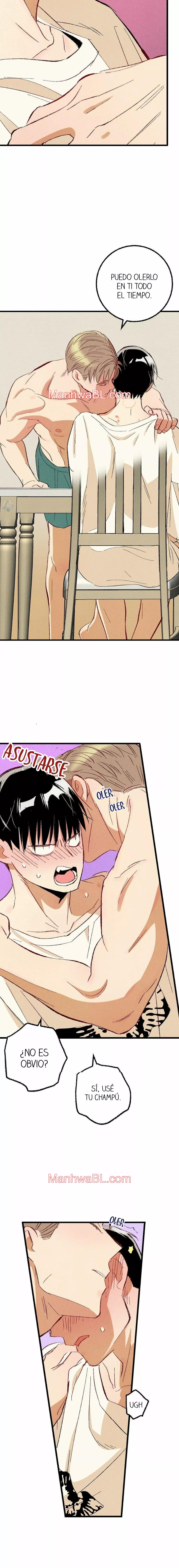 Perfect Buddy - Capítulo 52.00 manhwa
