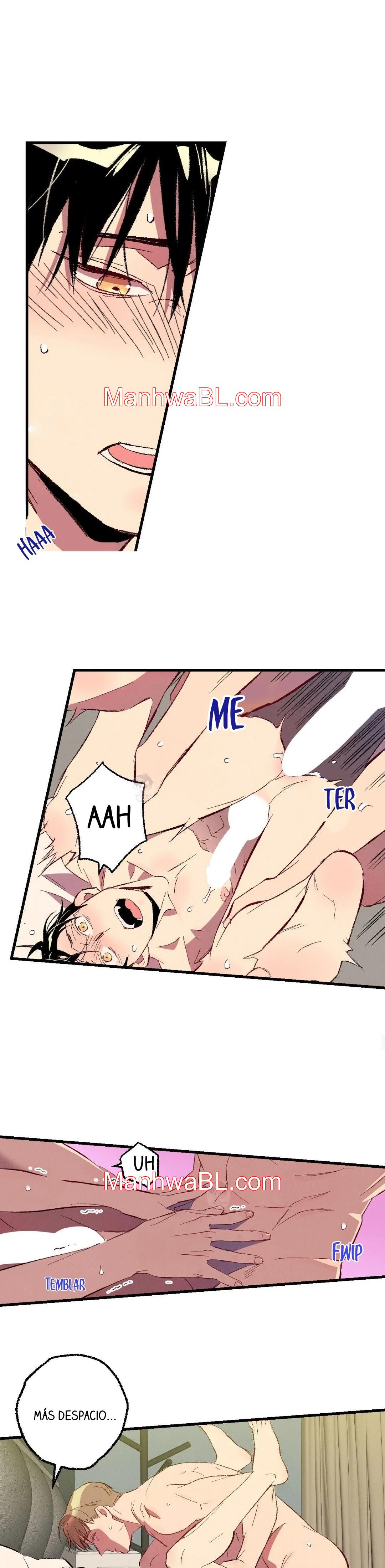 Perfect Buddy - Capítulo 76.00 manhwa