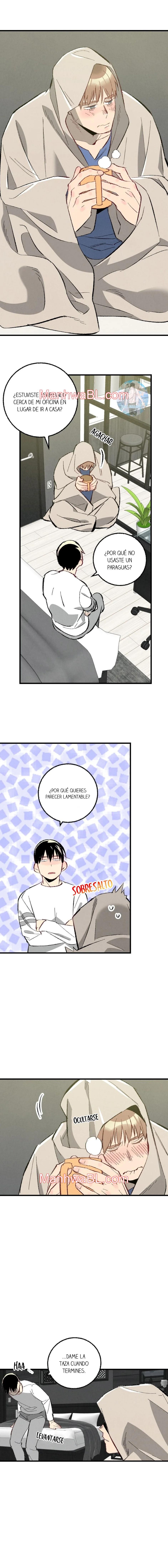 Perfect Buddy - Capítulo 91.00 manhwa