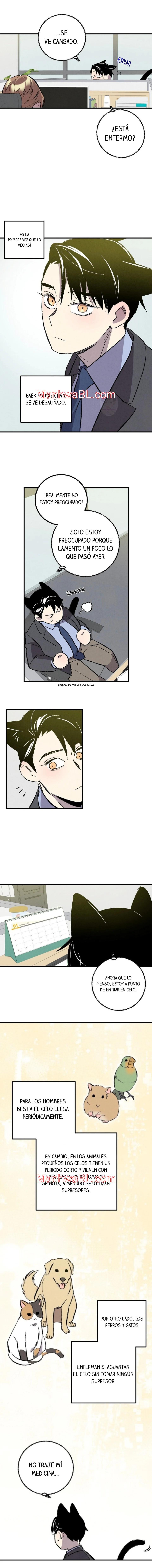 Perfect Buddy - Capítulo 105.00 manhwa