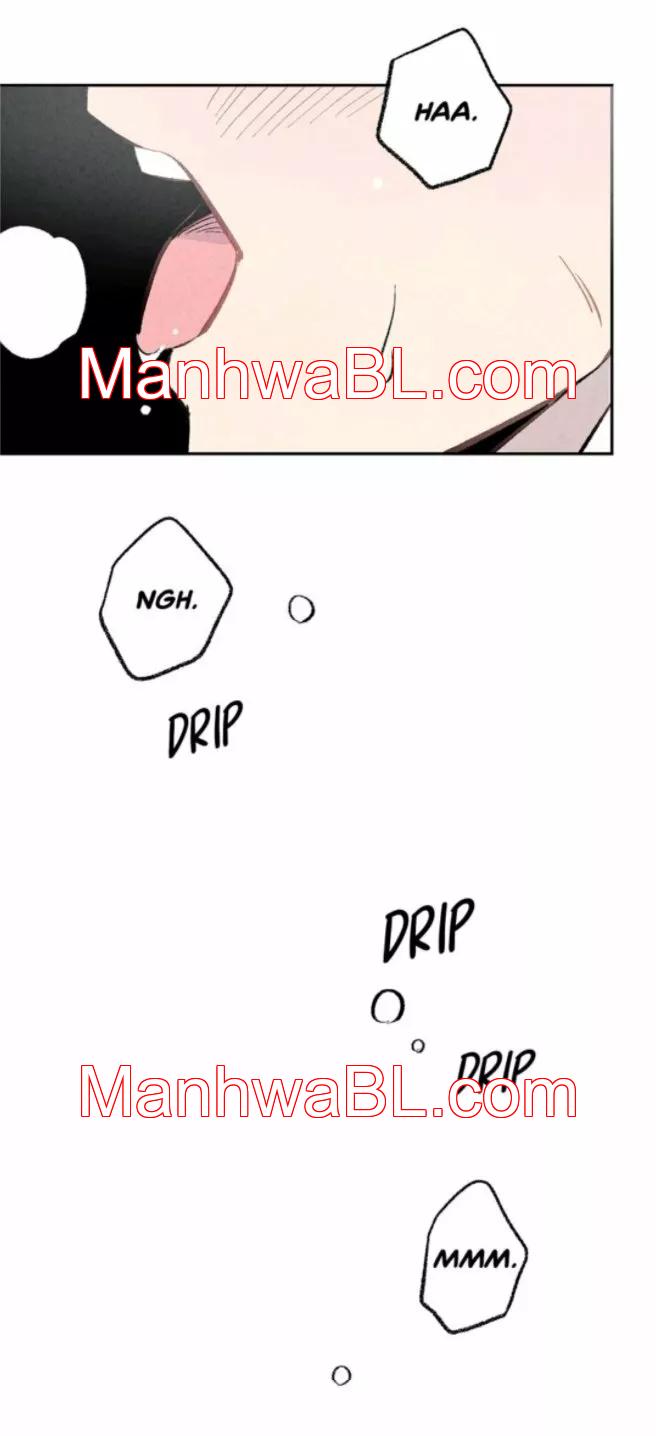 Perfect Buddy - Capítulo 3.00 manhwa