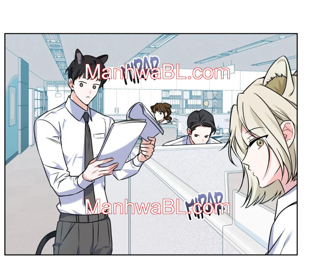 La bebida de zorro de Flynn - Capítulo 11 manhwa