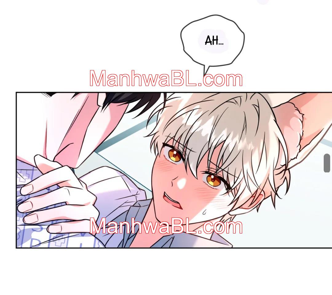 La bebida de zorro de Flynn - Capítulo 19 manhwa