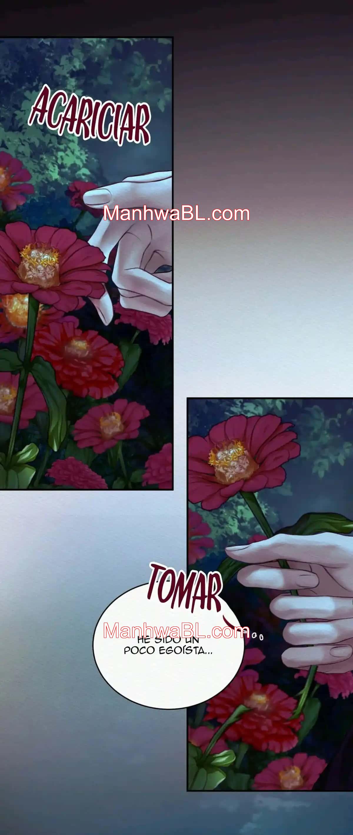 Nocturno - Capítulo 37 manhwa