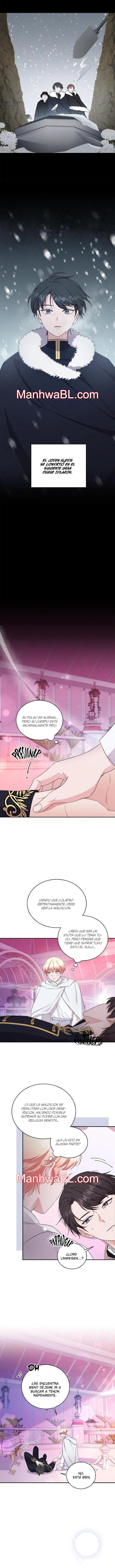 Cariño, Cariño, Cariño - Capítulo 8.00 manhwa