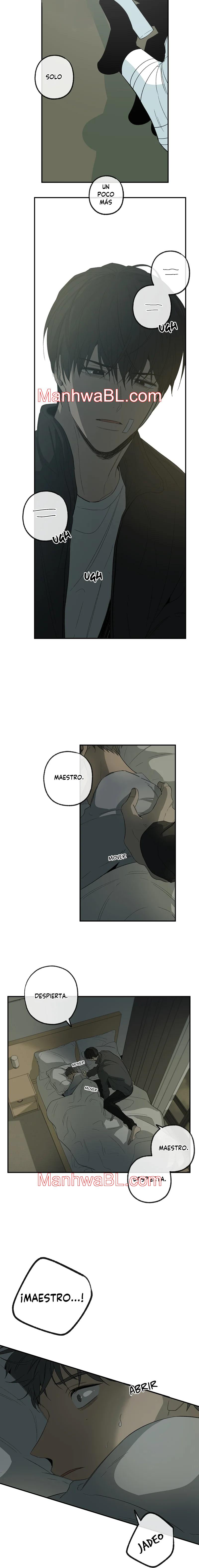 Forma de Simpatia - Capítulo 82.00 manhwa