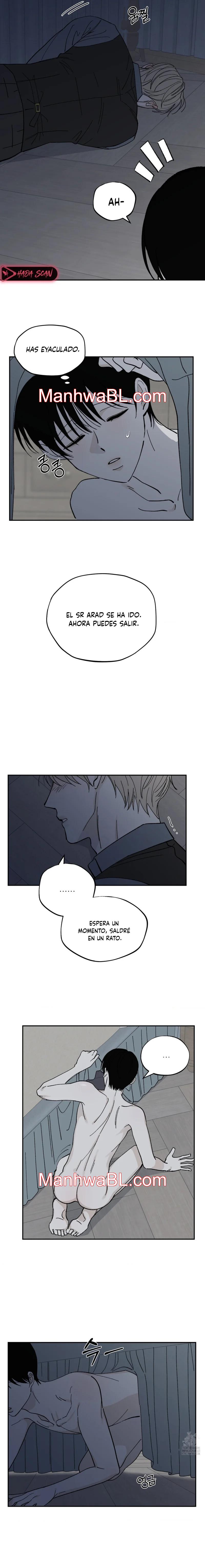 Maison - Capítulo 43 manhwa