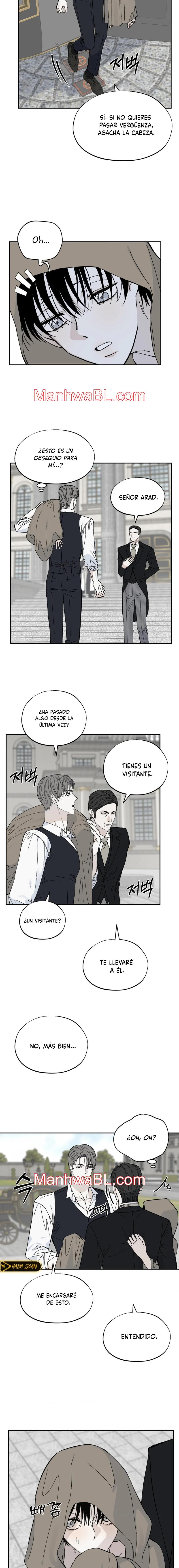 Maison - Capítulo 26 manhwa