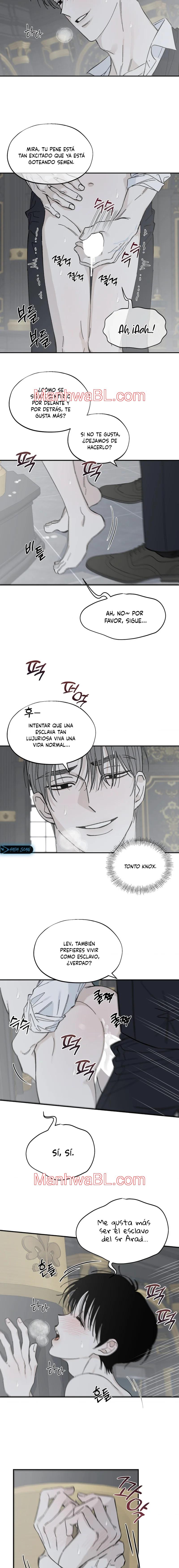 Maison - Capítulo 28 manhwa