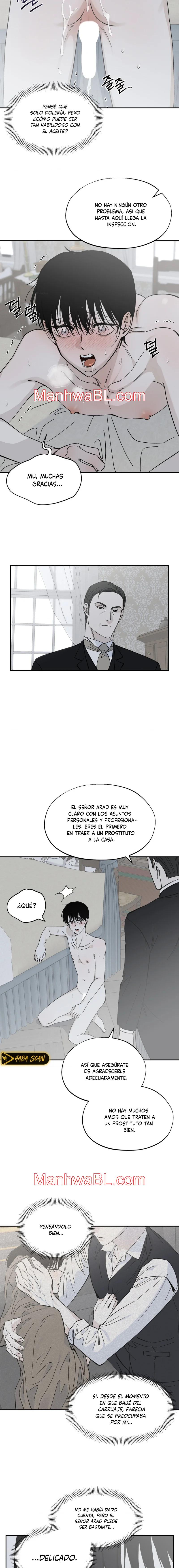 Maison - Capítulo 27 manhwa