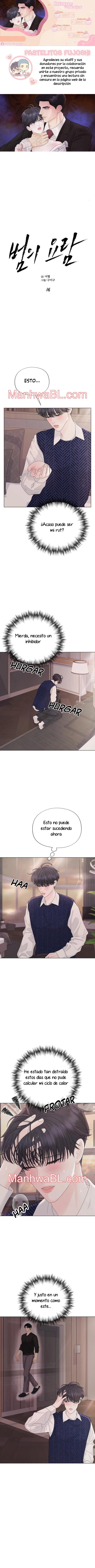 Cuna del tigre - Capítulo 16 manhwa