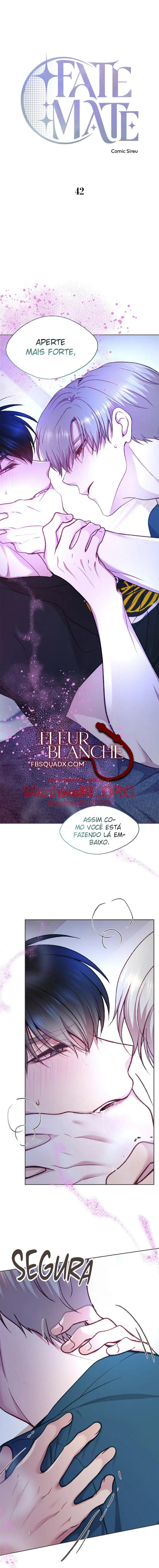 Compañeros destinados - Capítulo 42 manhwa