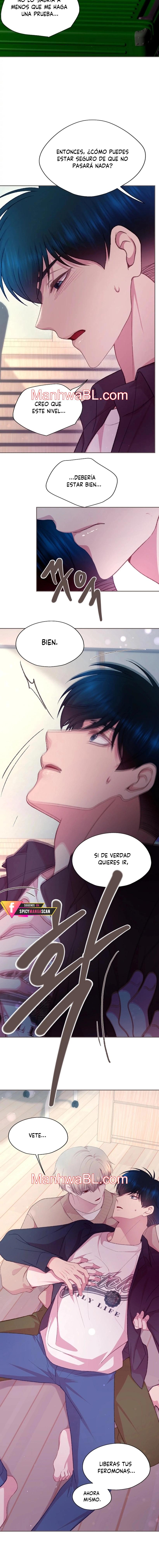 Compañeros destinados - Capítulo 37 manhwa