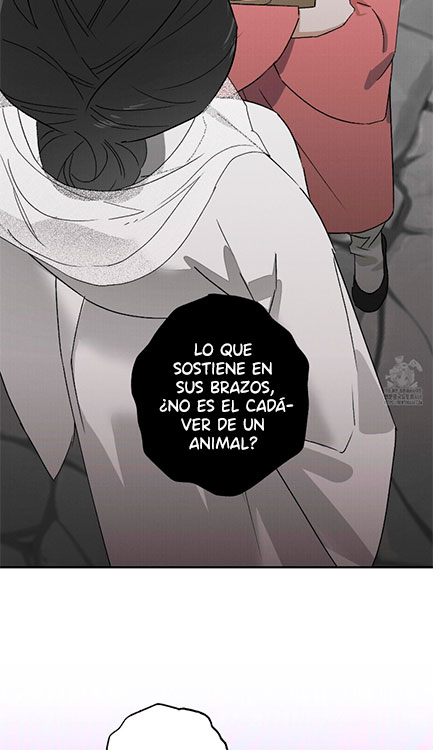 Relatos Nocturnos - Capítulo 20 manhwa