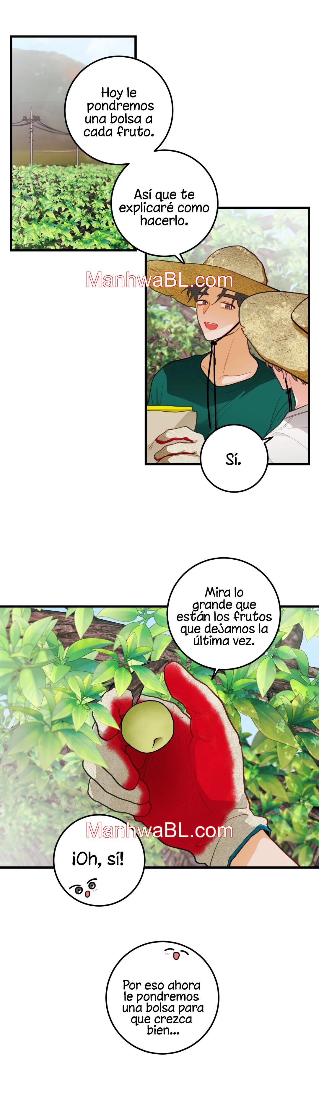 Pear Blossom Love - Capítulo 35.3 manhwa