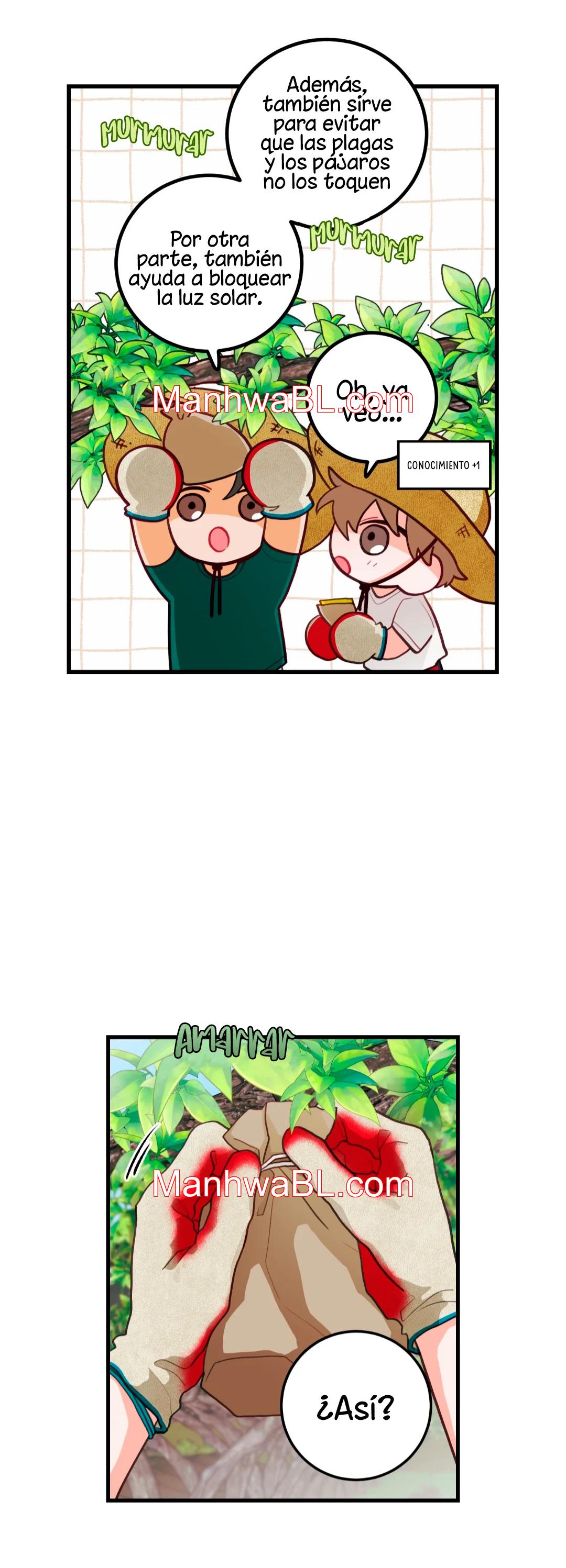 Pear Blossom Love - Capítulo 35.3 manhwa