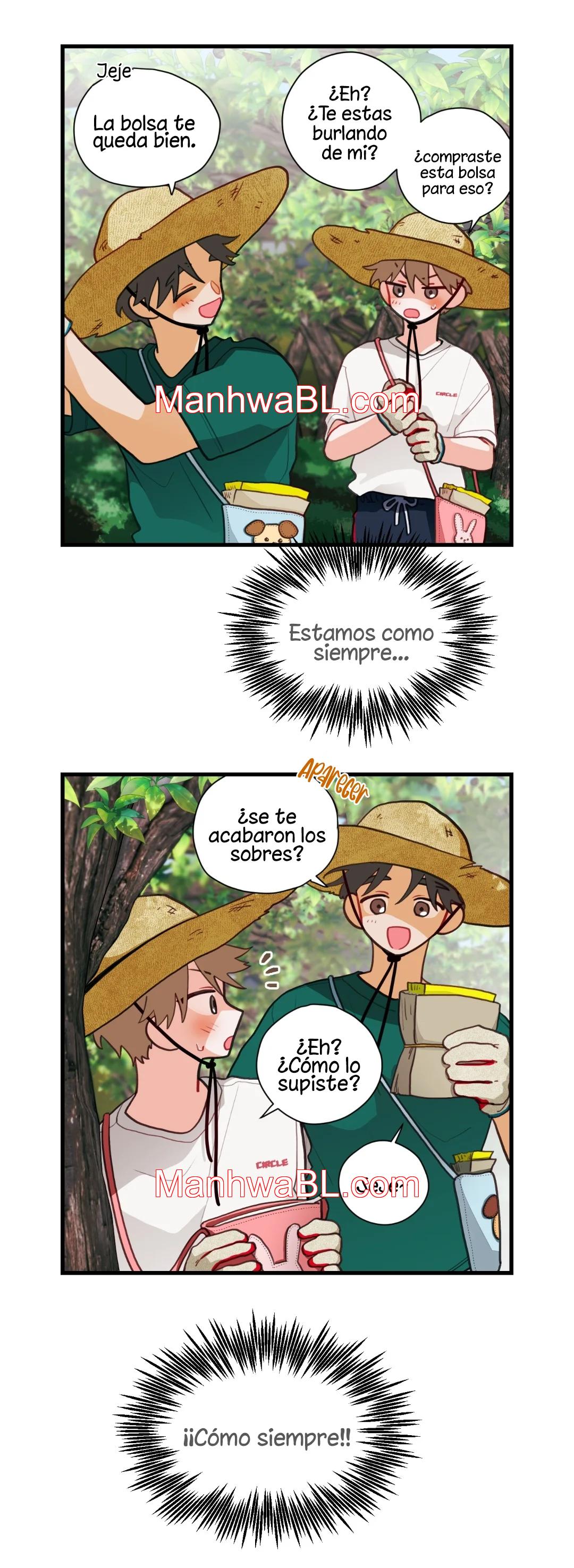 Pear Blossom Love - Capítulo 35.3 manhwa